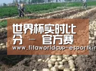 种植基地七(图1)