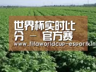 种植基地五