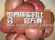 产品展示标题1