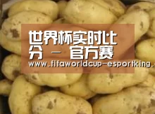 产品展示标题6