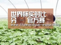 种植基地三