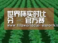 种植基地六(图1)