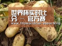 产品展示标题2