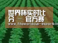 种植基地六