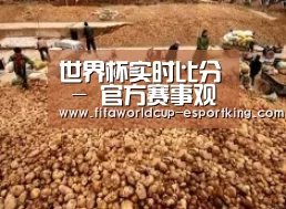 种植基地二