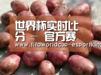 产品展示标题5