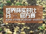 种植基地七