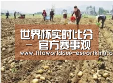种植基地一