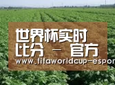 种植基地五(图1)