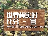 种植基地八(图1)