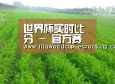 种植基地四