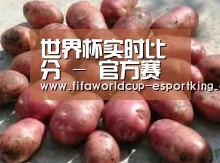 产品展示标题5(图1)