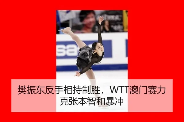 fan-zhen-dong-fan-shou-xiang-chi-zhi-sheng-ao-men-sai-li-ke-zhang-ben-zhi-he-bao-chong-2-785.jpg