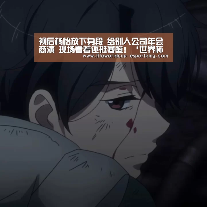 世界杯足球赛事