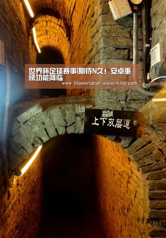 世界杯足球赛事|期待N久!安卓重磅功能降临(图1) 世界杯电竞平台