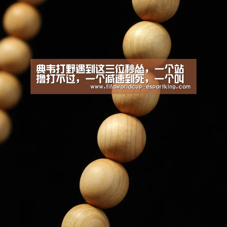世界杯足球赛事