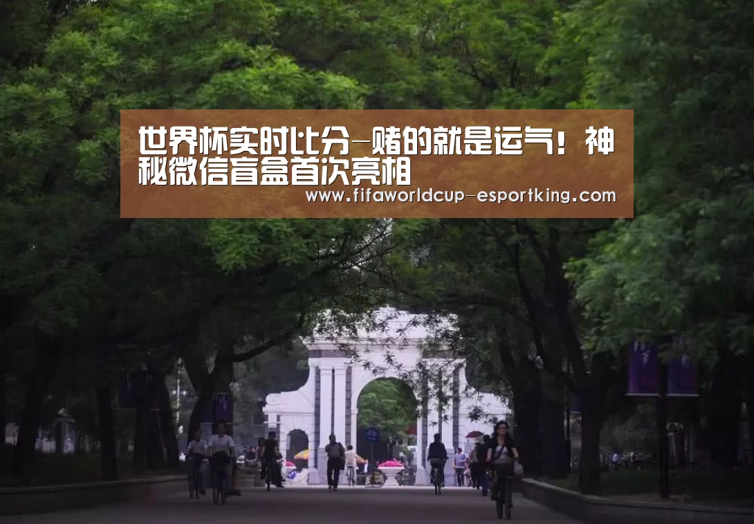 世界杯赛事直播